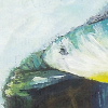 Bear fishing mag1