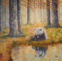 Bear reflecting
