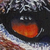 Cheetahs mag1