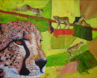 Cheetahs at play