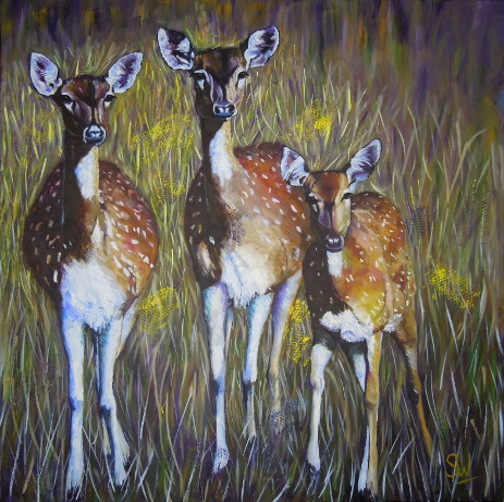 Deer