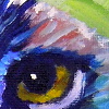 Eagle mag1