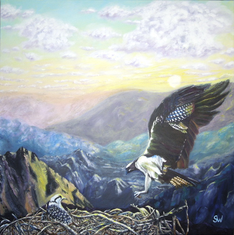 Eagle Nest
