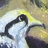 Eagle nest mag1