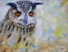 Wise Owl