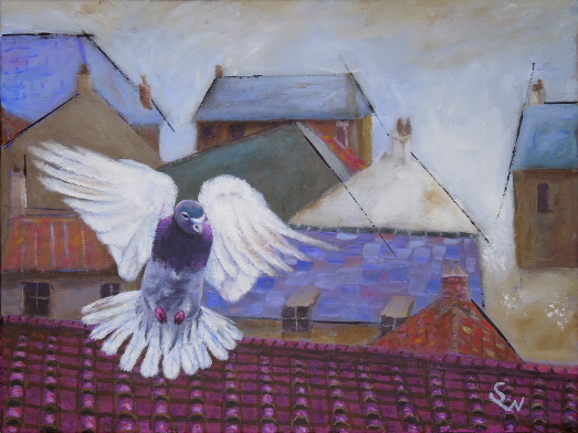 Urban Pigeon