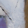 Pigeon U mag2