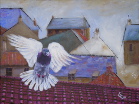 Urban Pigeon