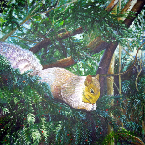 Squirrel