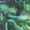 Squirrel berry mag2