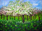 Apple Blossom Orchard