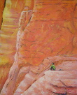 Rocks - Sedona