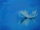 Feather Stillness