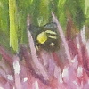 Thistles mag1