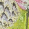 Thistles mag2