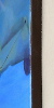 Goddess 4 edge