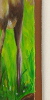 Goddess 5 edge
